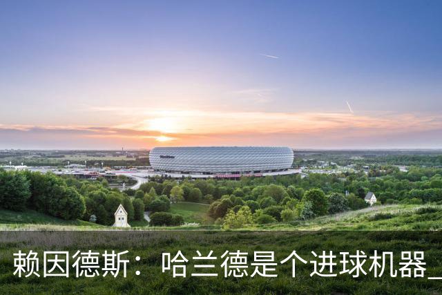 赖因德斯：哈兰德是个进球机器 但最佳前锋我选加克波